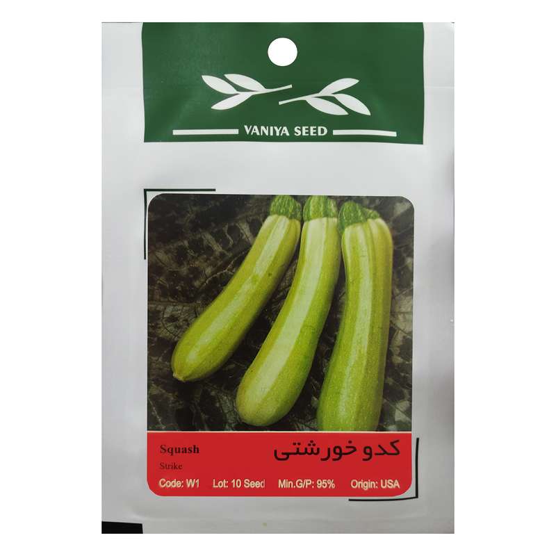 بذر کدو خورشتی وانیا سید مدل W1 بذر کدو خورشتی وانیا سید مدل W1