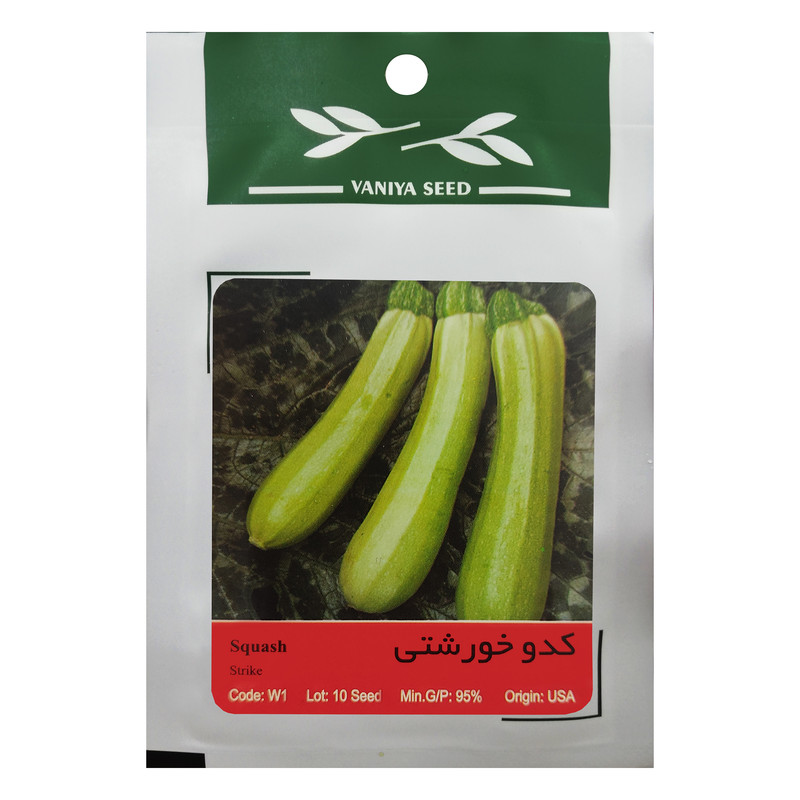بذر کدو خورشتی وانیا سید مدل W1 بذر کدو خورشتی وانیا سید مدل W1
