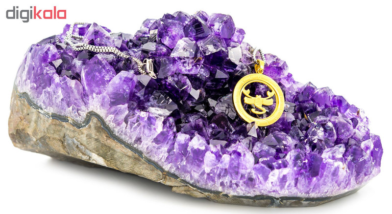 گردنبند طرح ماه تولد آبان کد 202008 گردنبند طرح ماه تولد آبان کد 202008