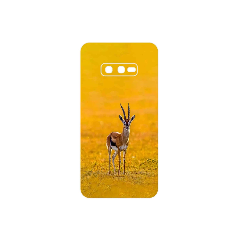 برچسب پوششی ماهوت مدل Gazelle مناسب برای گوشی موبایل سامسونگ Galaxy S10e