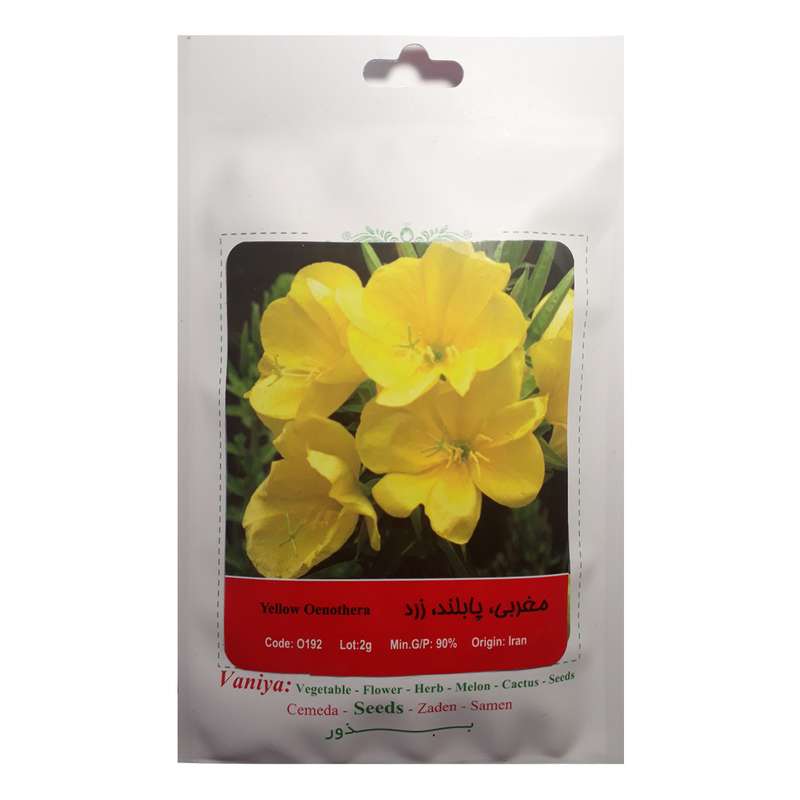 بذر گل مغربی پا بلند زرد آذر سبزینه مدل A60 بذر گل مغربی پا بلند زرد آذر سبزینه مدل A60