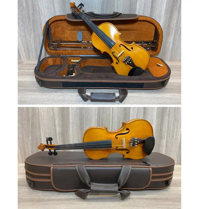 هاردکیس ویولن مدل GSAGSM