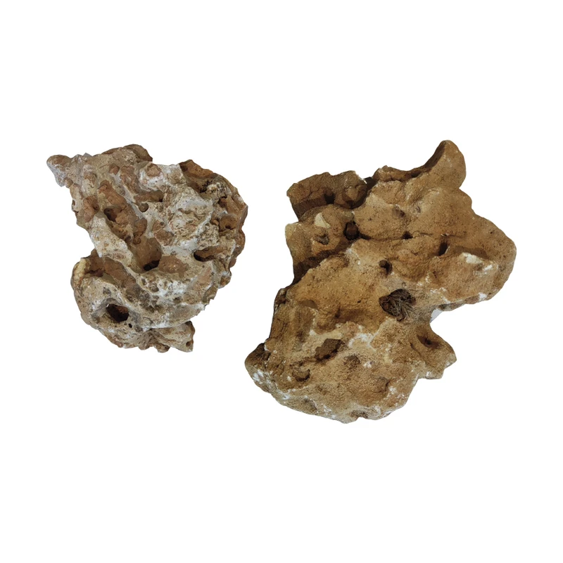 سنگ تزیینی آکواریوم مدل Dragon-5 بسته 2 عددی