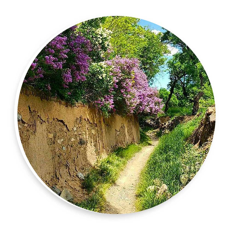 دیوارکوب طرح کوچه باغ ایرانی مدل wtb929