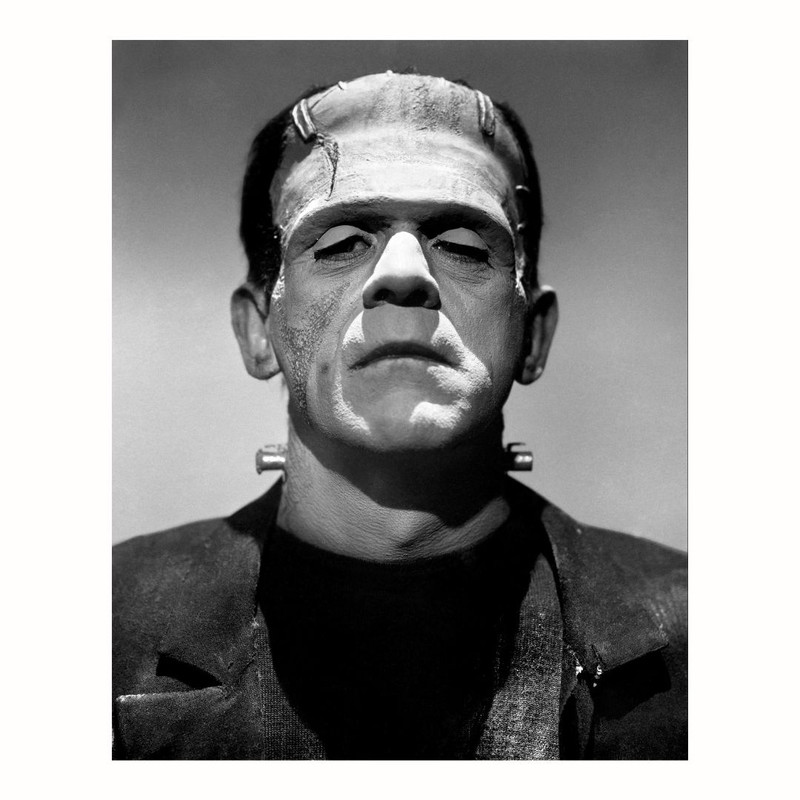 پوستر مدل  چاپ  از پرتره فرانکنشتاین 