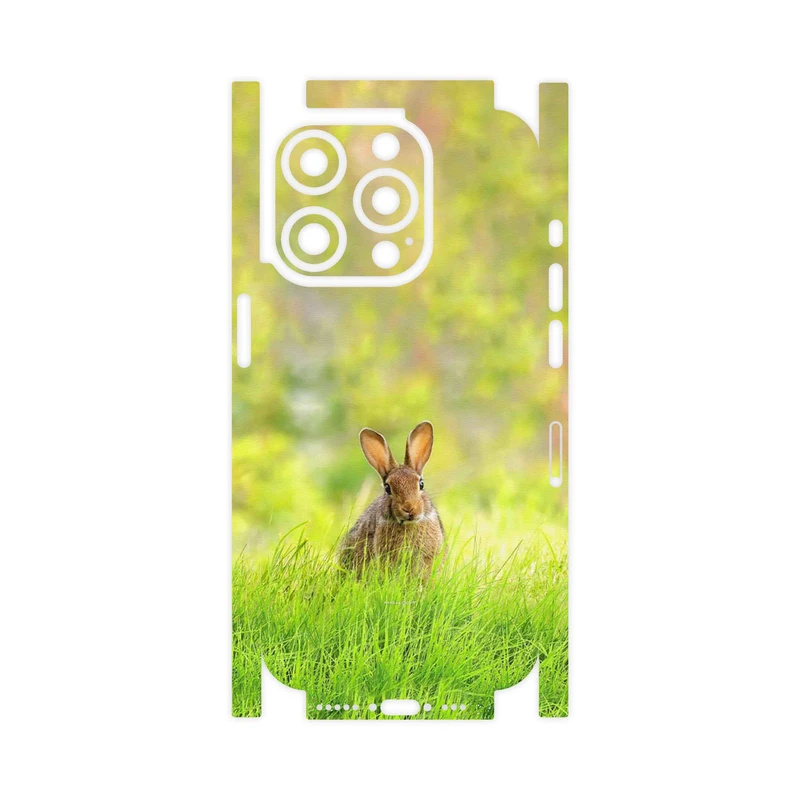 برچسب پوششی ماهوت مدل Rabbit-FullSkin مناسب برای گوشی موبایل اپل iPhone 15 Pro