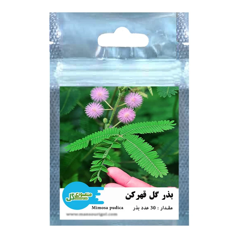 بذر گل قهر کن منصوری گل کد Mp30 وزن 1 گرم