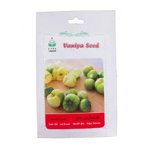 بذر فیسالیس سبز وانیا سید مدل BS368