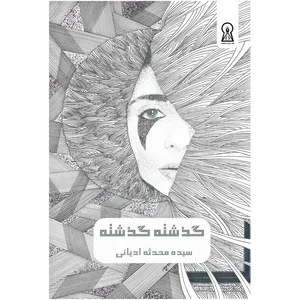 کتاب گذشته گذشته اثر محدثه ادیانی نشر زرین اندیشمند