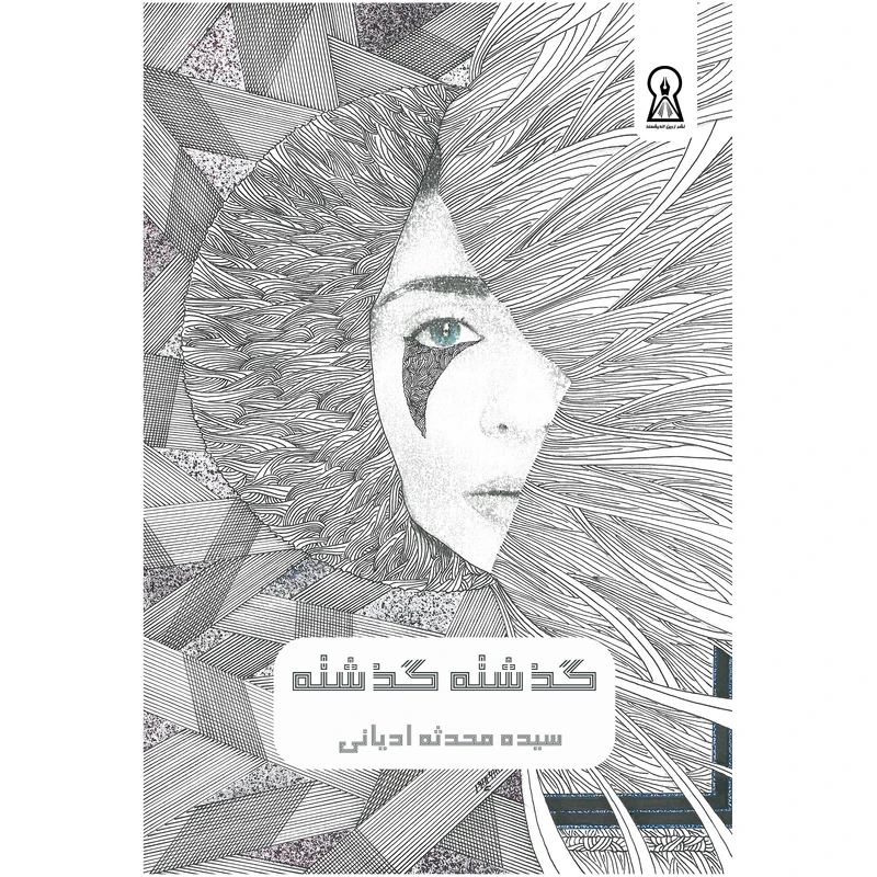 کتاب گذشته گذشته اثر محدثه ادیانی نشر زرین اندیشمند