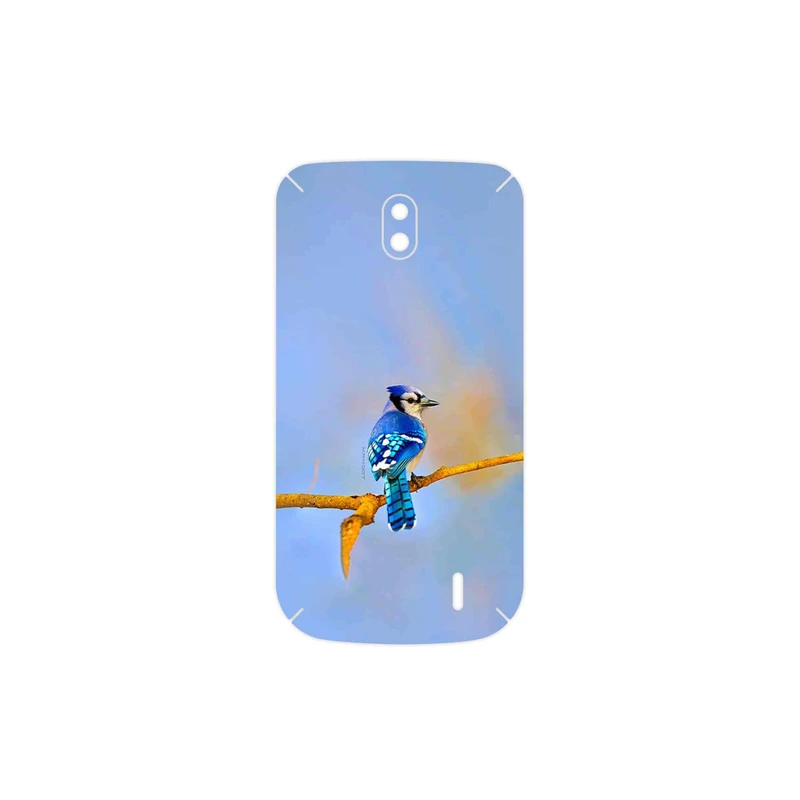 برچسب پوششی ماهوت مدل Cyanocitta cristata مناسب برای گوشی موبایل نوکیا 1