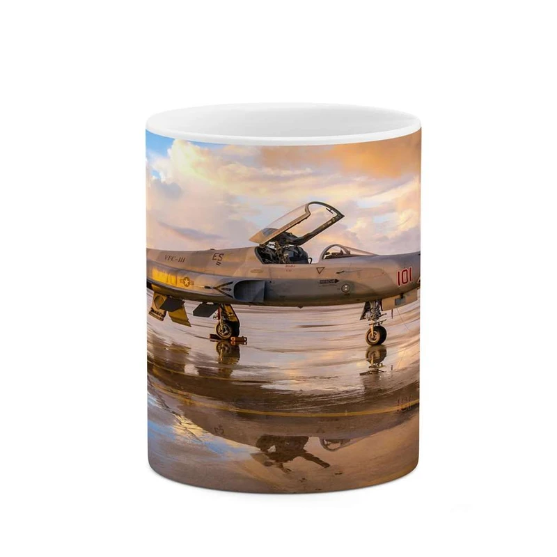 ماگ کاکتی مدل هواپیما کد mgh14792