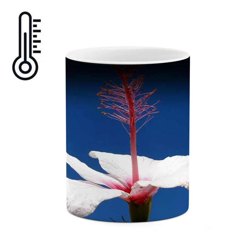 ماگ حرارتی کاکتی مدل گل کد mgh11994