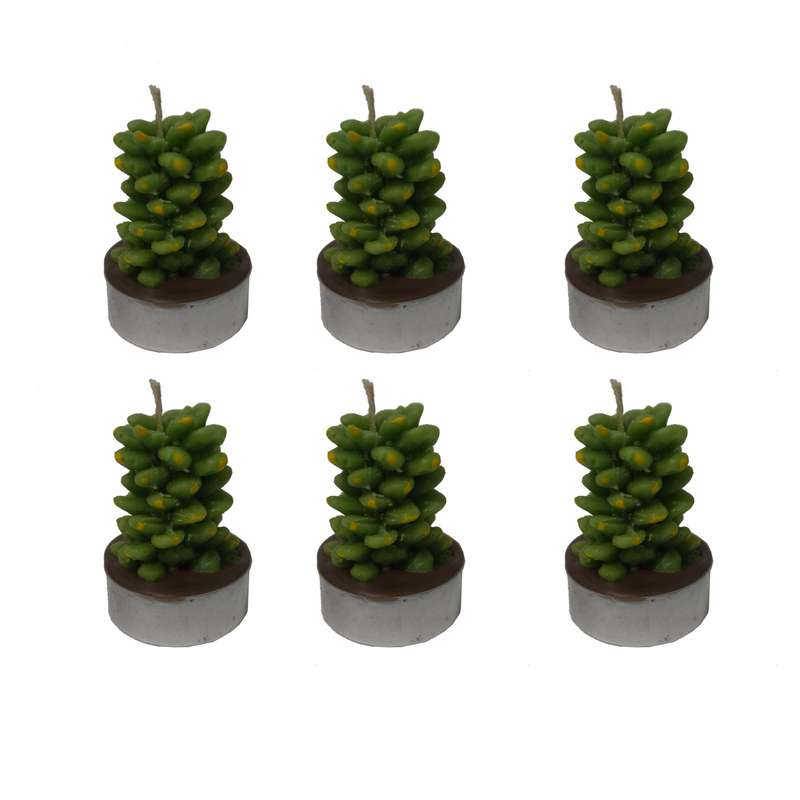 شمع وارمر مدل کاکتوس کاج مجموعه 6 عددی