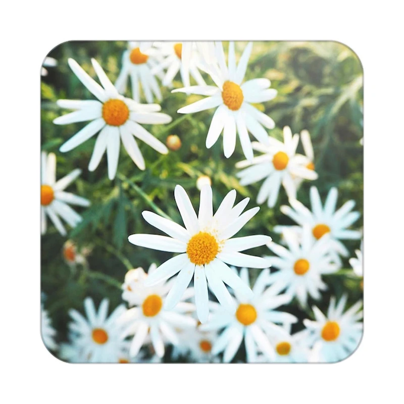 زیر لیوانی کاکتی طرح گل مدل mp17059