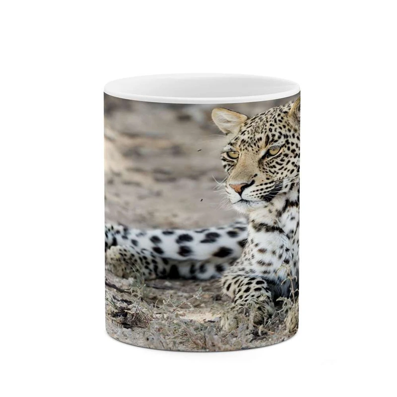 ماگ کاکتی مدل پلنگ کد mgh14557