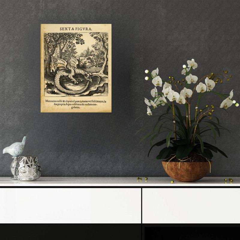 پوستر مدل چاپ شکل ششم با هنر مار 