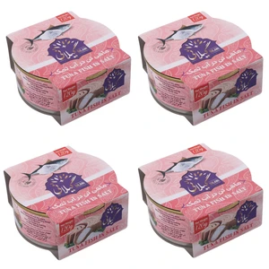 کنسرو ماهی تن در آب نمک گیلانی - 120 گرم بسته 4 عددی