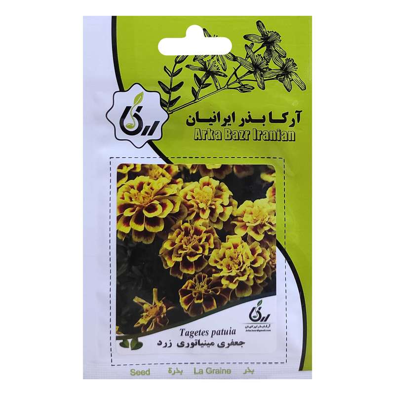 بذر گل جعفری مینیاتوری زرد آرکا بذر ایرانیان کد ARK-054