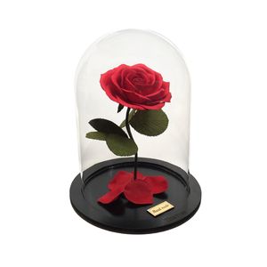 نقد و بررسی گلدان به همراه گل مصنوعی تینا رز مدل 1020 توسط خریداران