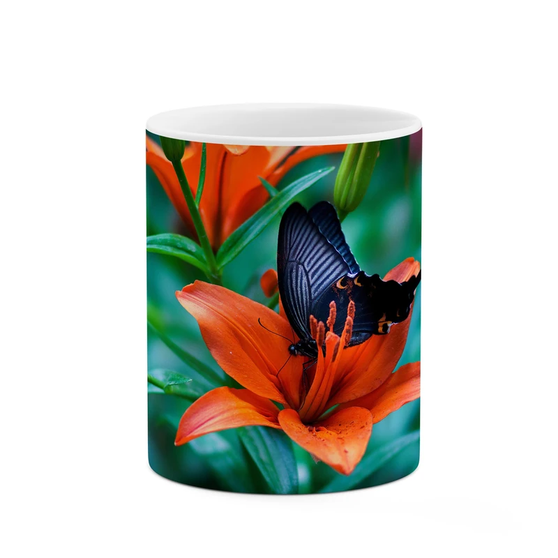 ماگ کاکتی طرح پروانه رو گل کد mgp10535