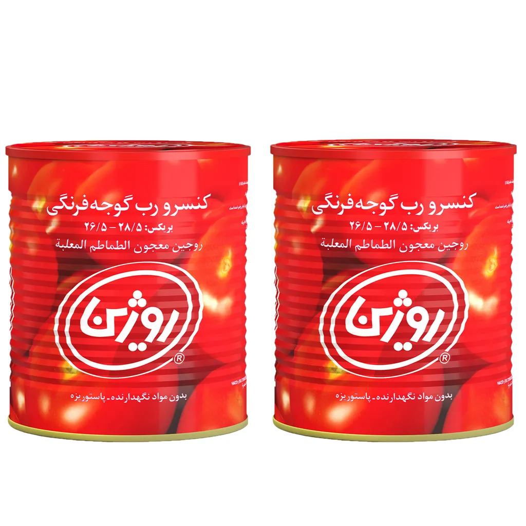 رب گوجه فرنگی روژین -800 گرم بسته 2 عددی
