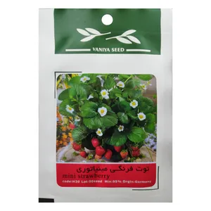 بذر توت فرنگی مینیاتوری وانیا سید مدل H30