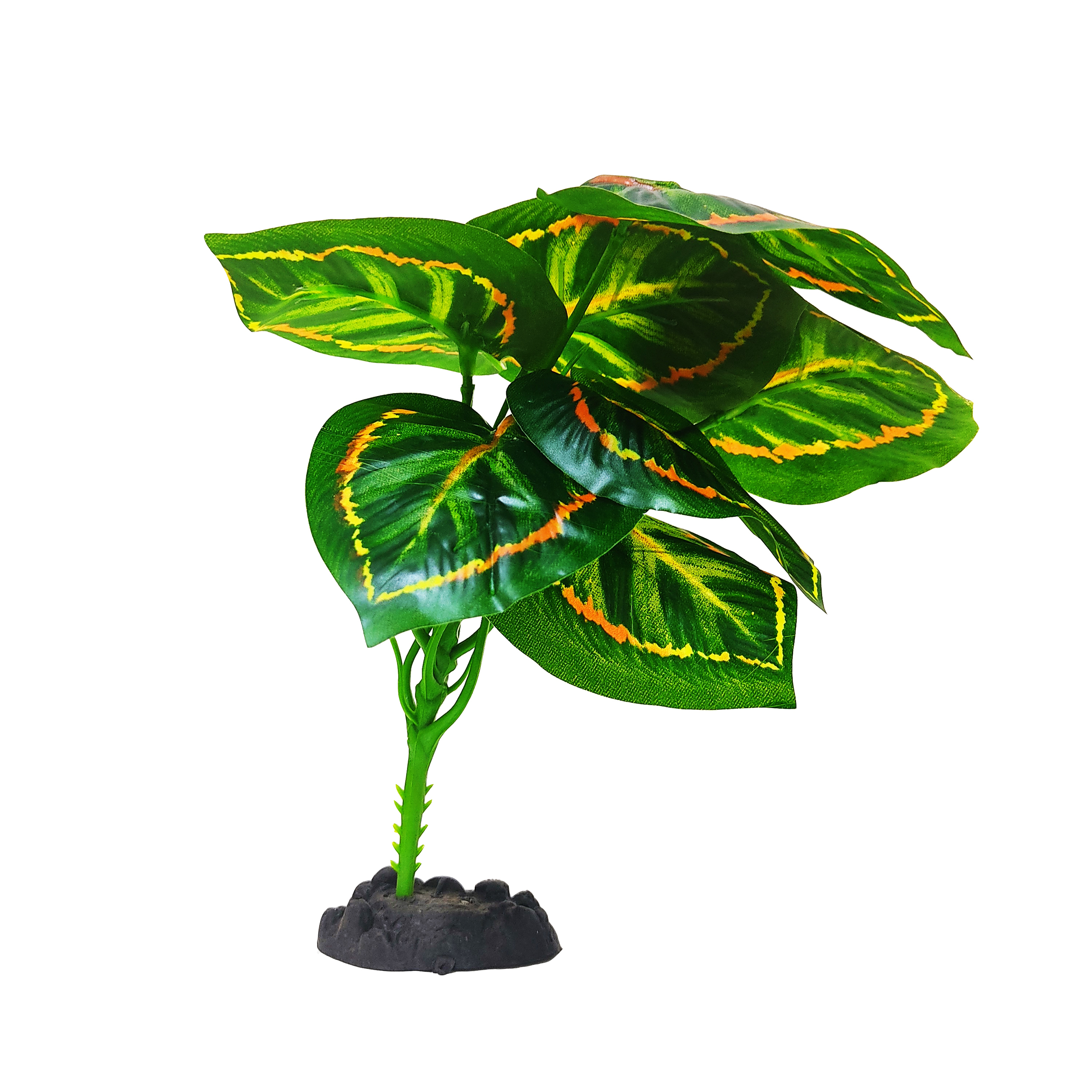 گیاه تزیینی آکواریوم کد H06