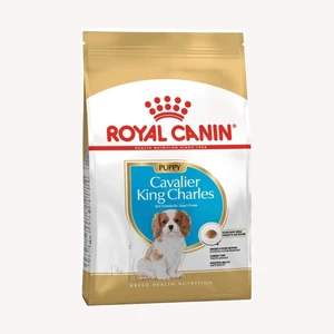 غذای خشک توله سگ رویال کنین مدل Cavalier King Charles وزن 1.5 کیلوگرم