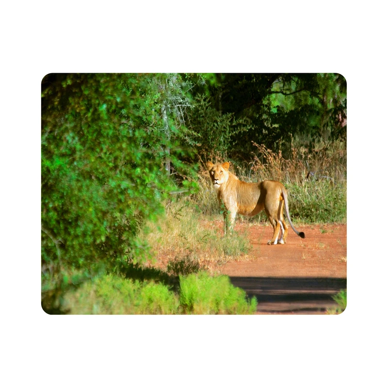 ماوس پد اطلس آبی طرح شیر و جنگل مدل T1954