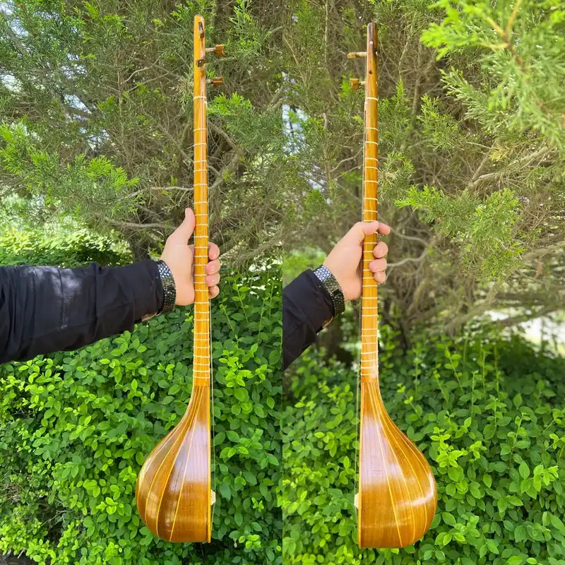 سه تار ایران ساز مدل Sa-de