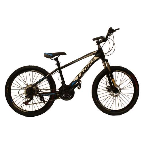 دوچرخه کوهستان لاودیس مدل 24165 سایز 24