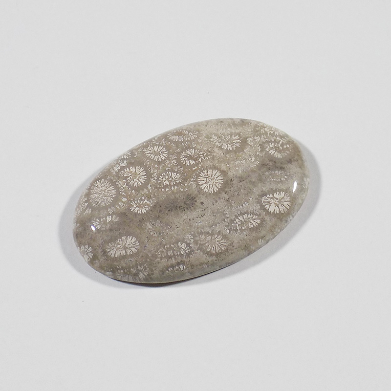 سنگ فسیل مرجان کد TG6523