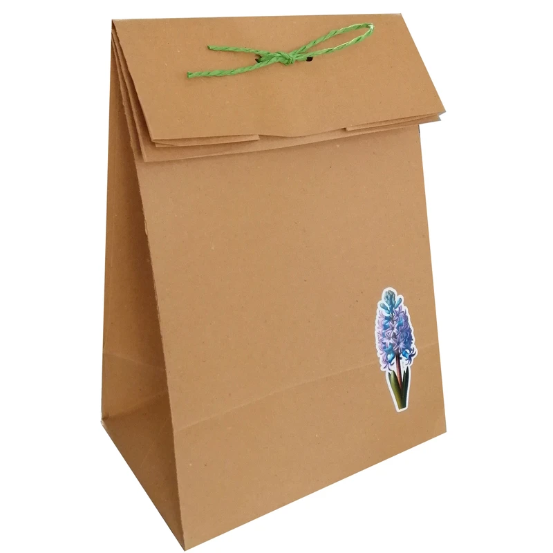 پاکت هدیه مدل عید نوروز و گل سنبله مجموعه 10 عددی