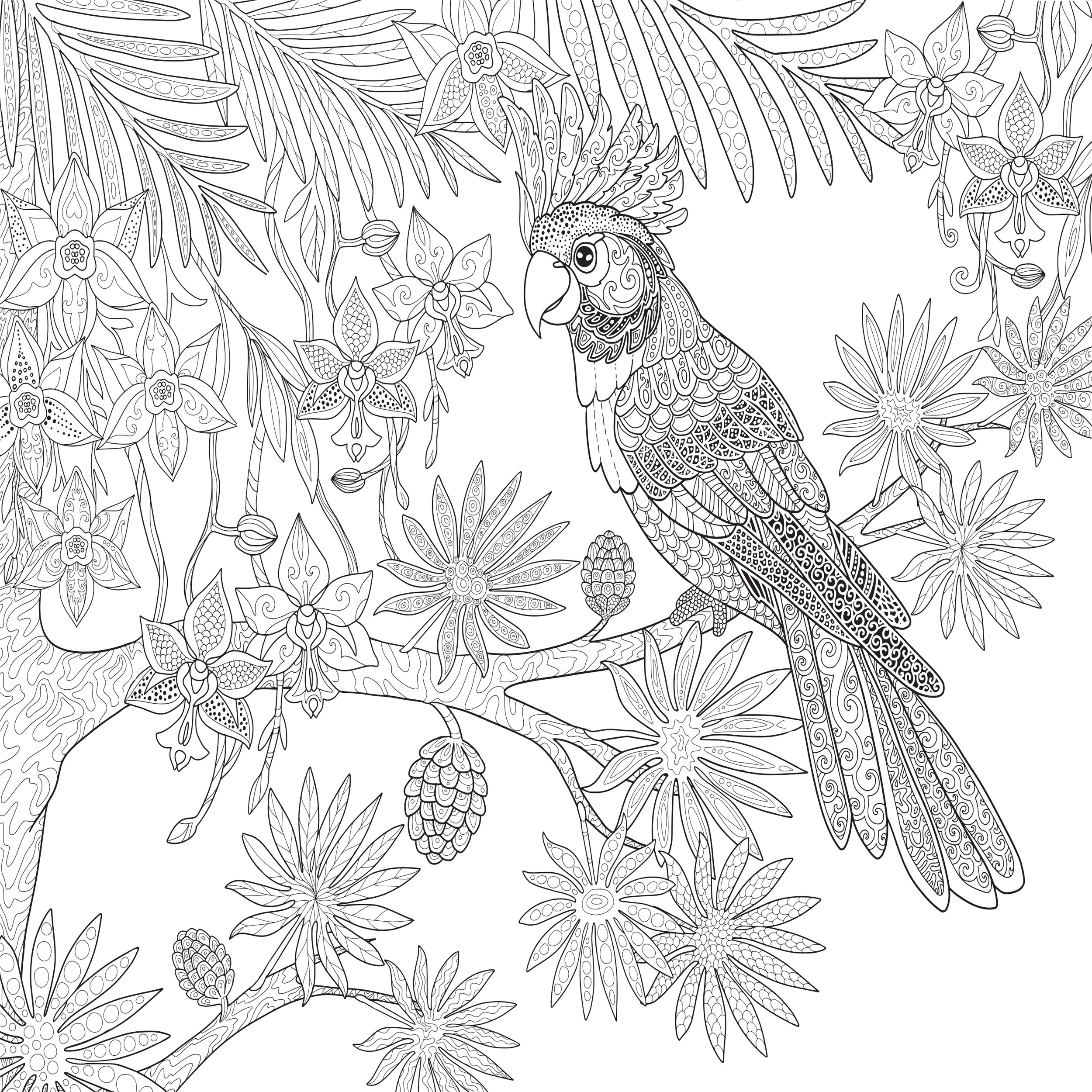 دفتر رنگ آمیزی مدل Enchanted Forest