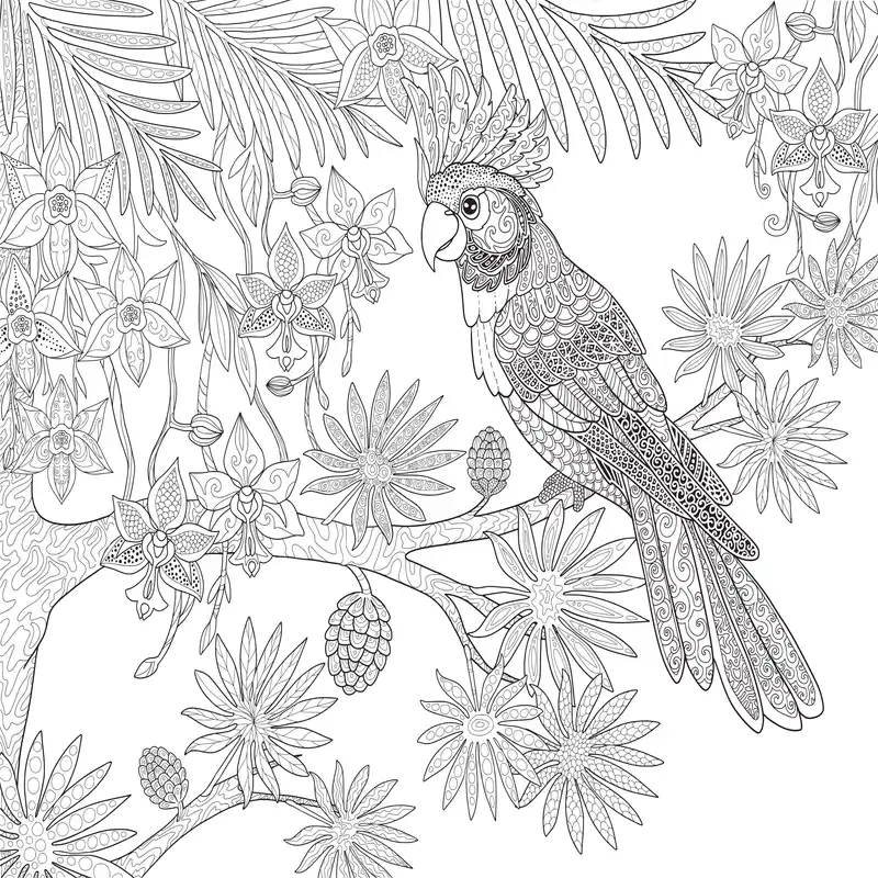 دفتر رنگ آمیزی مدل Enchanted Forest