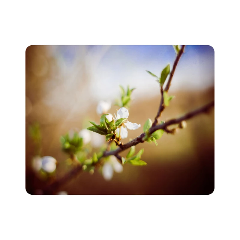 ماوس پد اطلس آبی طرح منظره شکوفه مدل T1184
