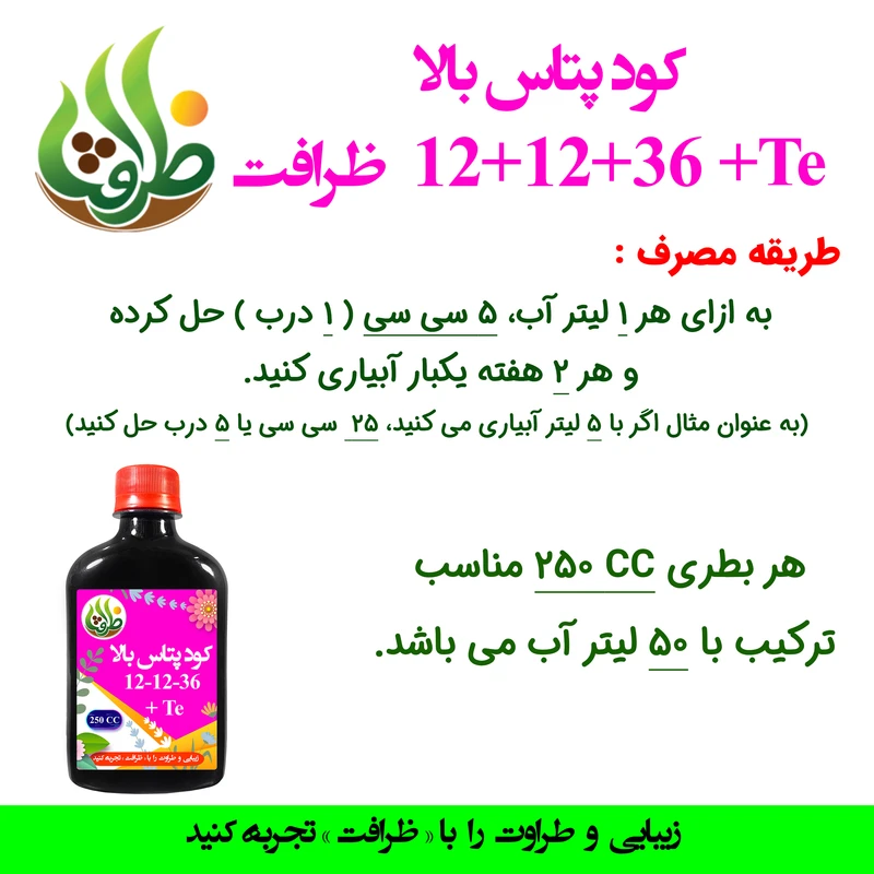 عکس شماره 3