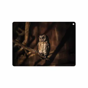 MAHOOT Owl Cover Sticker for Apple iPad Air 2 2014 A1567
