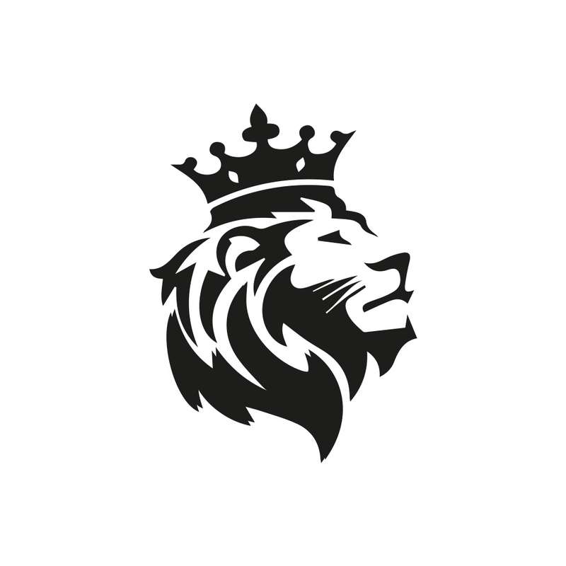 برچسب بدنه خودرو گراسیپا طرح شیر شاه کد 02