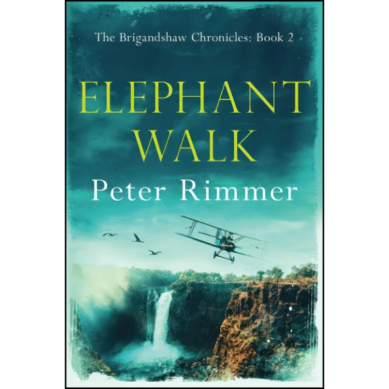 کتاب Elephant Walk  اثر Peter Rimmer انتشارات تازه ها