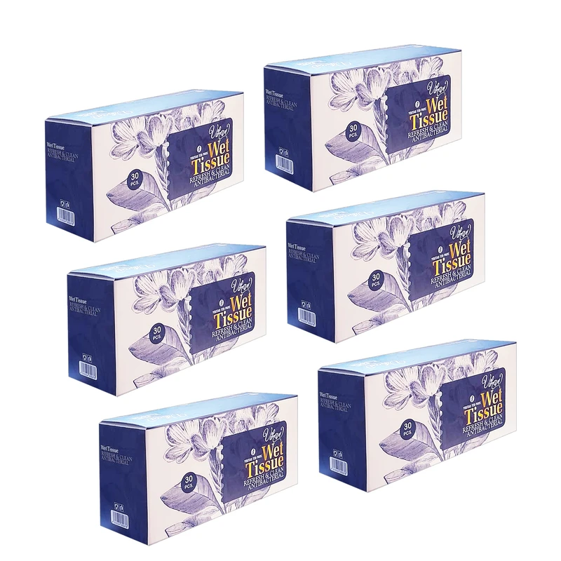 دستمال مرطوب ویهان مدل AntiBacterial شش بسته 30 عددی