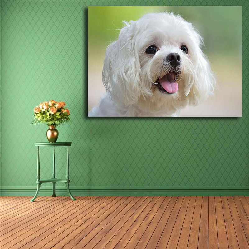 تابلو شاسی مدل سگ کد 21