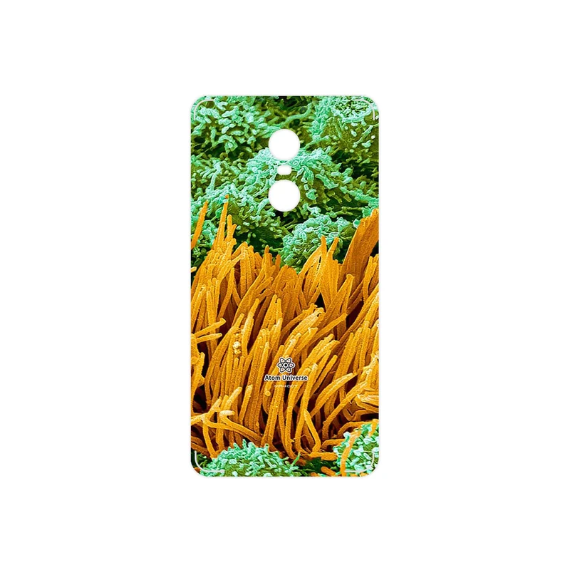برچسب پوششی ماهوت مدل Atom Universe 6 مناسب برای گوشی موبایل شیائومی Redmi Note 4X