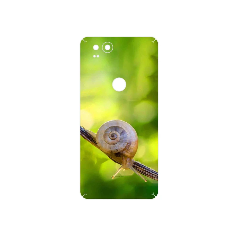 برچسب پوششی ماهوت مدل Snail مناسب برای گوشی موبایل گوگل Pixel 2