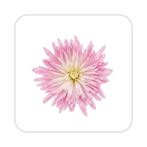زیر لیوانی کاکتی طرح گل مدل mp18389