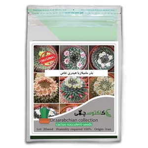 بذر مامیلاریا هیدری خاص  کاکتوسچی مدل AM-054