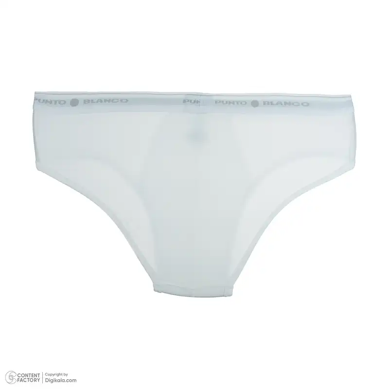 شورت مردانه پونتو بلانکو مدل 53489-10-901 بسته 3 عددی