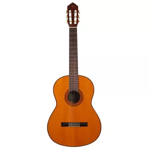 گیتار مدل Anjela_C70