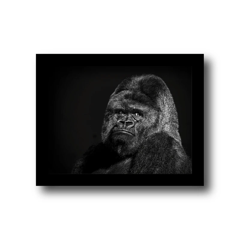 تابلو مدل حیوانات طرح گوریل سیاه کد 1